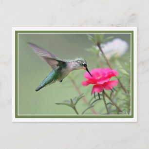 Postal Hovering Lunch