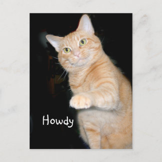 Postal Howdy