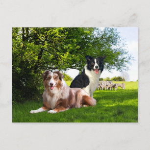 Postal "Howdy & Buckeroo" 