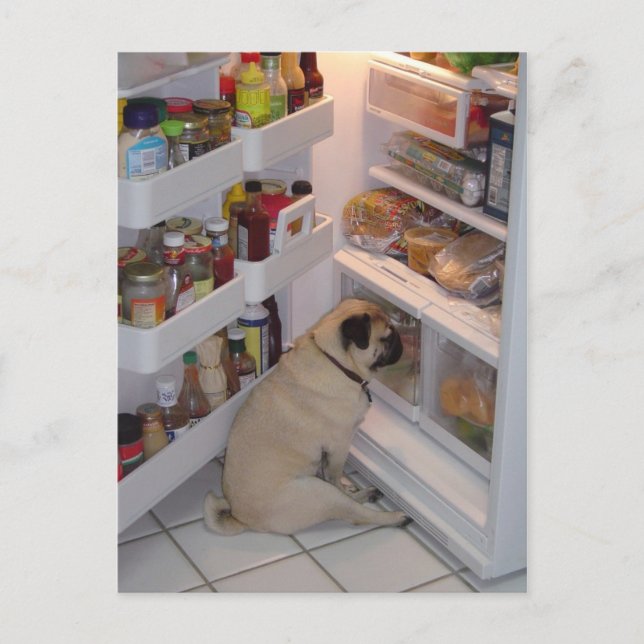 Postal Howie Pee Pugpantalones (Anverso)