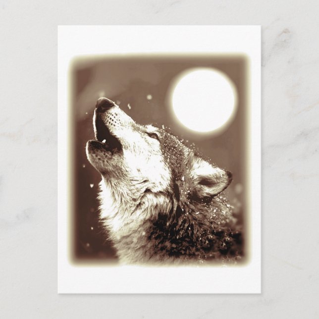 Postal Howling Wolf (Anverso)