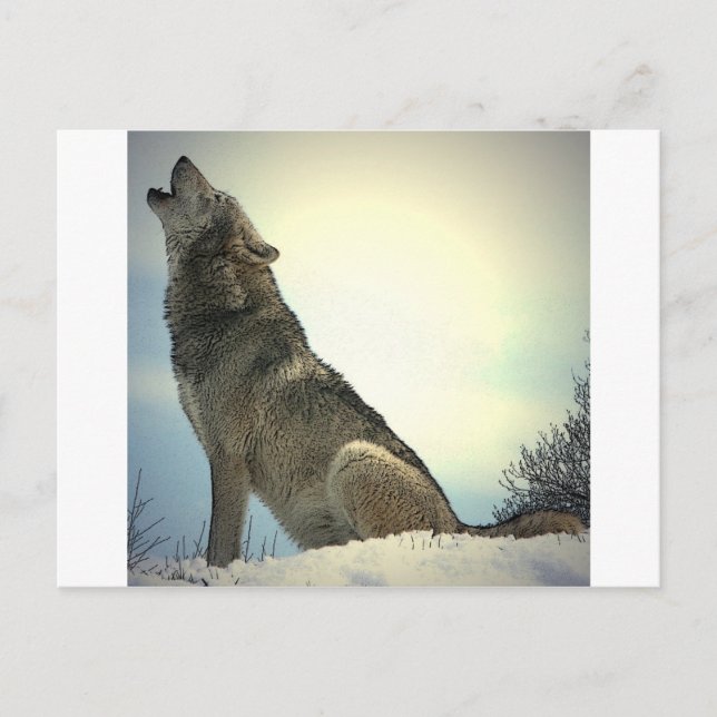 Postal Howling Wolf (Anverso)