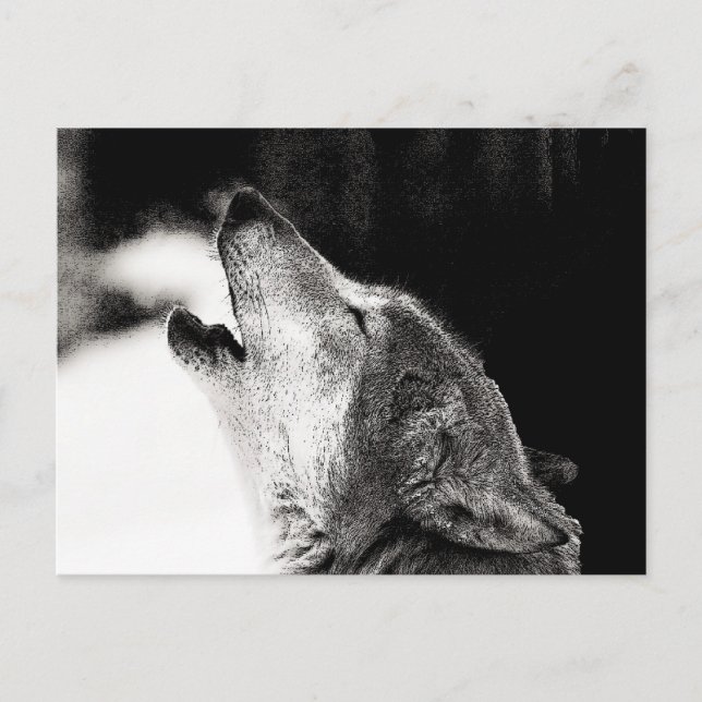 Postal Howling Wolf (Anverso)