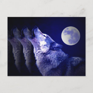 Postal Howling Wolf