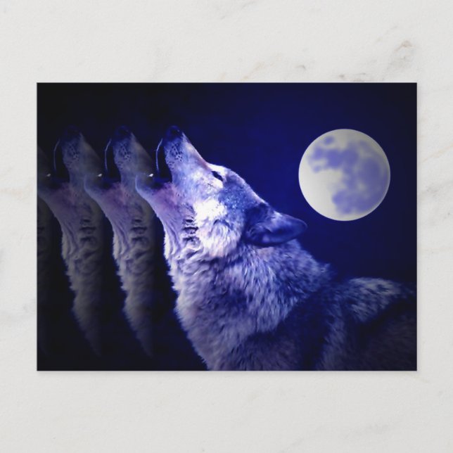 Postal Howling Wolf (Anverso)