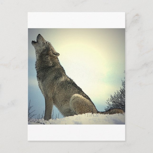 Postal Howling Wolf (Anverso)
