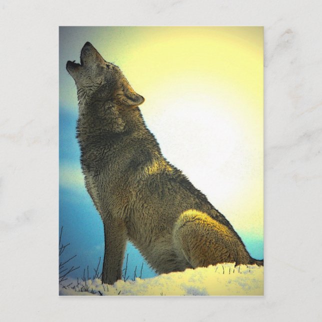 Postal Howling Wolf at Sunset (Anverso)