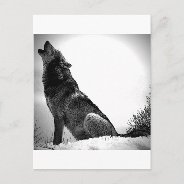 Postal Howling Wolf in Snow (Anverso)