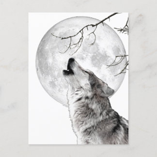 Postal Howling Wolf, Moon, Gothic, Nature