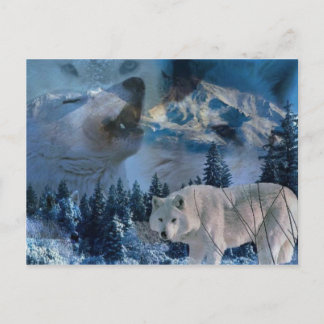 Postal Howling Wolf Pack
