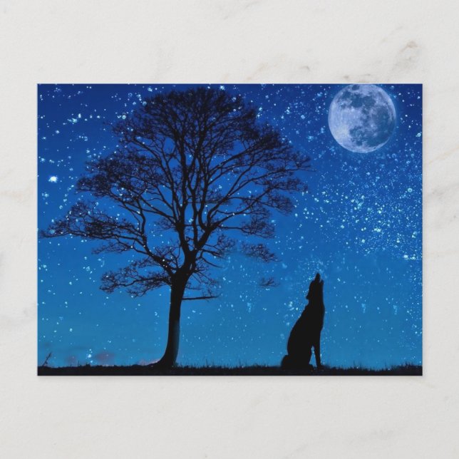 Postal Howling Wolf Postcard (Anverso)