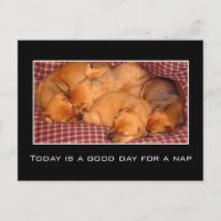 Hoy es un buen día para la siesta