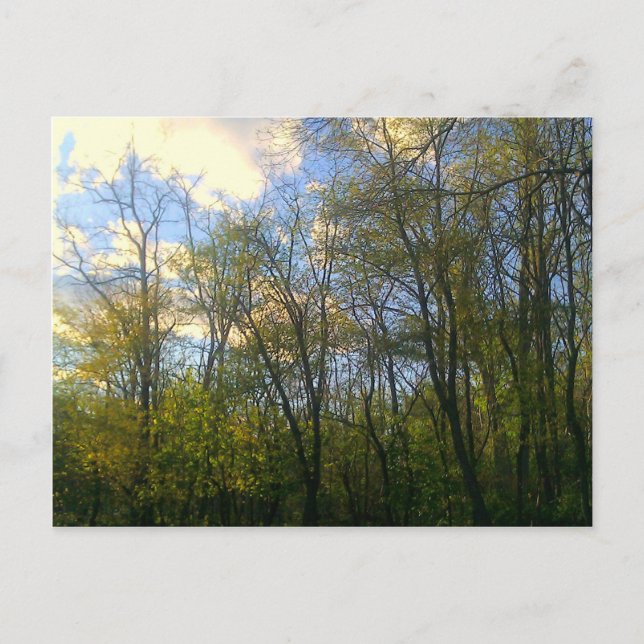 Postal Hudson Vally, NY (Anverso)