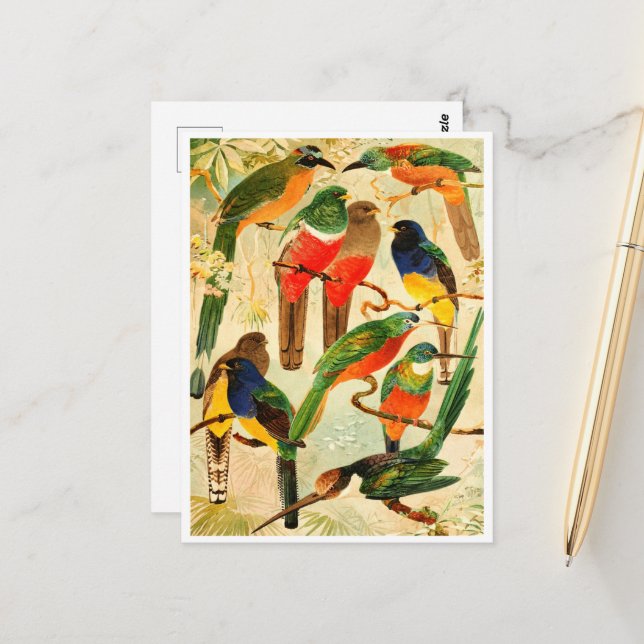 Postal Hudú, Surucuás, Arirámbas de la selva virgen (Anverso/Reverso In Situ)