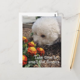 Postal Huele las Flores