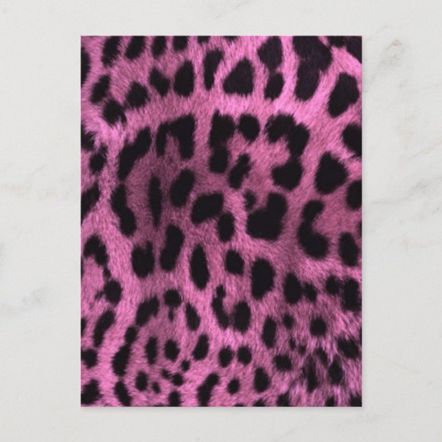 Postal Huella de leopardo animal - rosa (Anverso)