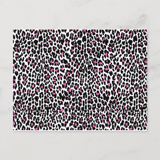 Postal huella de leopardo rosa (Anverso)