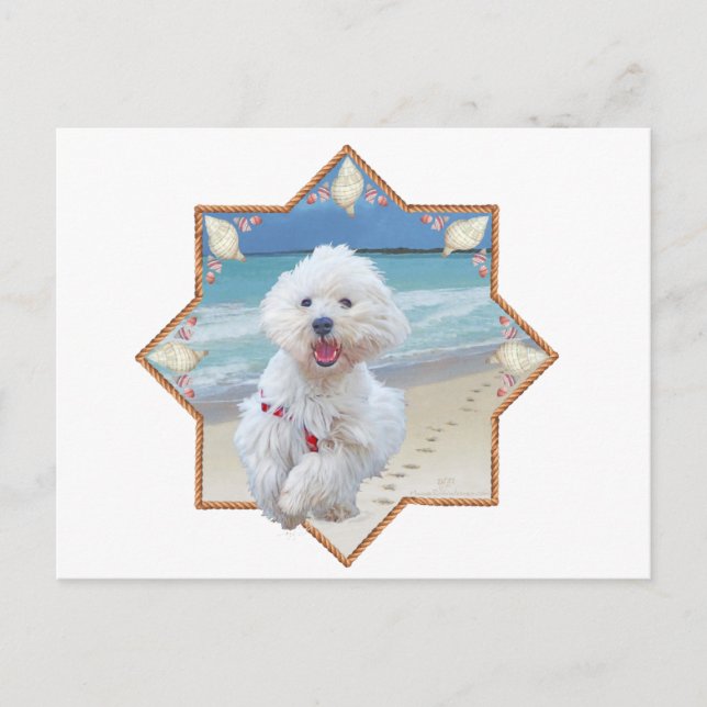 Postal Huella de playa (Anverso)