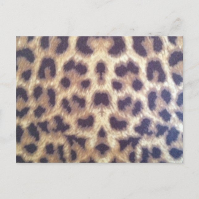 Postal Huella leopardo #36884 (Anverso)