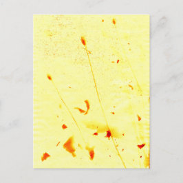 Postal Huella solar de tallos de amapola secos