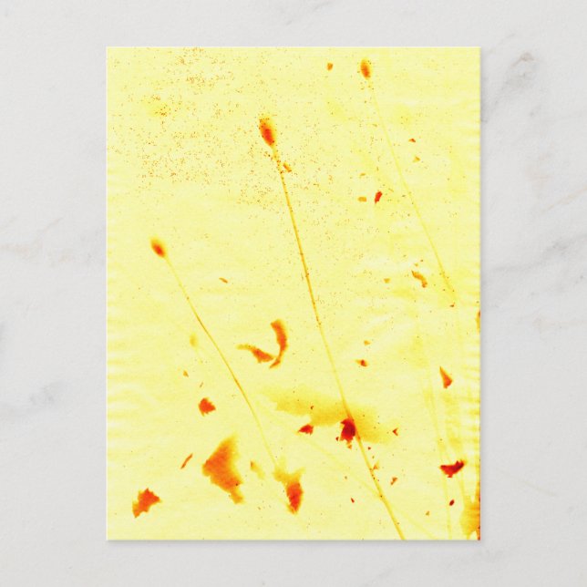 Postal Huella solar de tallos de amapola secos (Anverso)