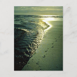 Postal Huellas De Arena, Piha, Isla Del Norte