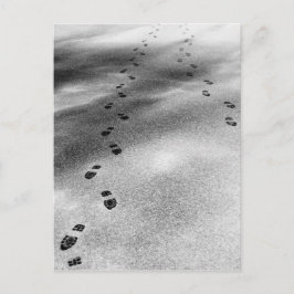 Postal Huellas de nieve