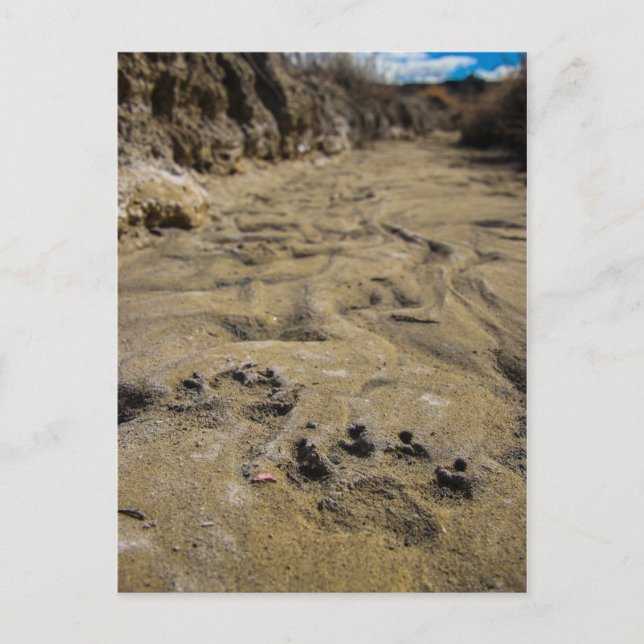 Postal huellas de página (Anverso)