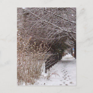 Postal Huellas en la nieve.
