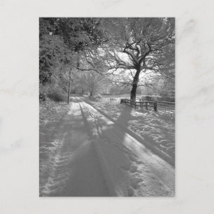 Postal Huellas en la nieve: Cheshire