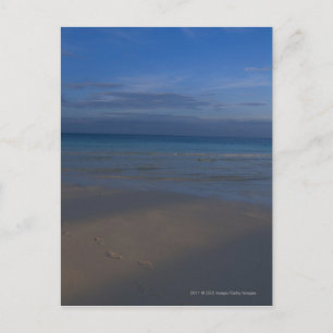 Postal Huellas en la playa