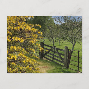 Postal Huerto y puerta de Mount Stuart, Isla de Bute, Esc