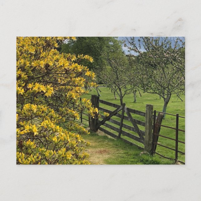 Postal Huerto y puerta de Mount Stuart, Isla de Bute, Esc (Anverso)