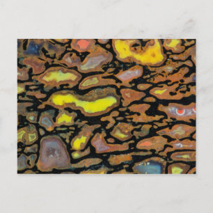 Postal Hueso de Dinosaurio de Colores Múltiples