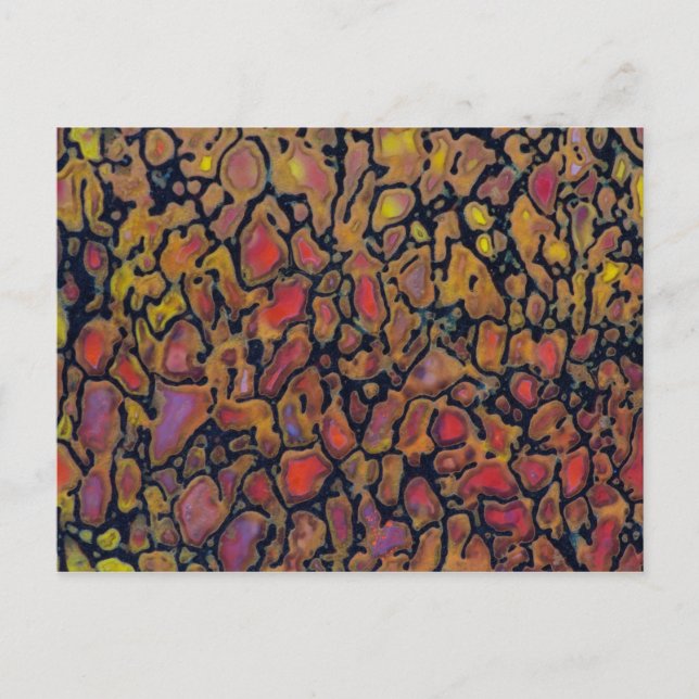 Postal Hueso de dinosaurio pateado (Anverso)