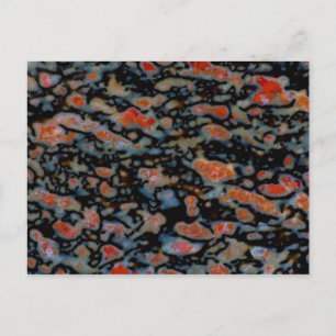 Postal Hueso de Dinosaurio Petrificado Colorido