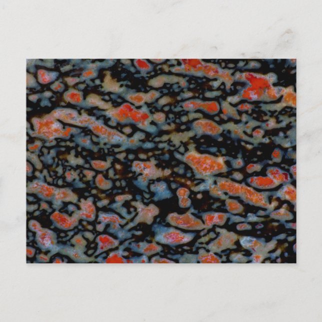 Postal Hueso de Dinosaurio Petrificado Colorido (Anverso)