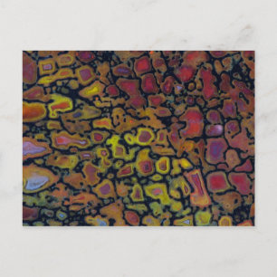 Postal Hueso de Dinosaurio Petrificado con arcoiris