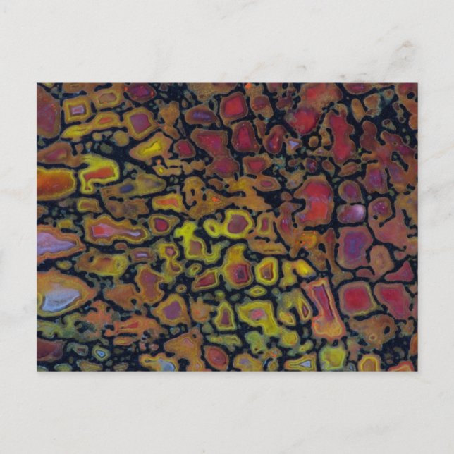 Postal Hueso de Dinosaurio Petrificado con arcoiris (Anverso)