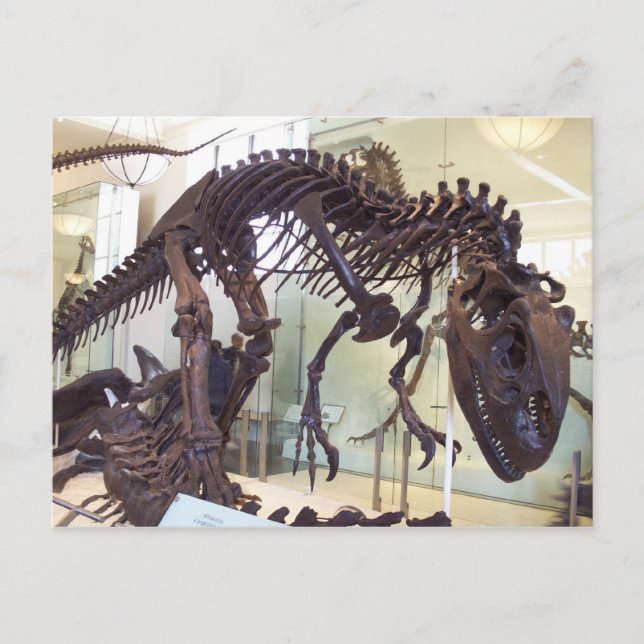 Postal Huesos (Anverso)