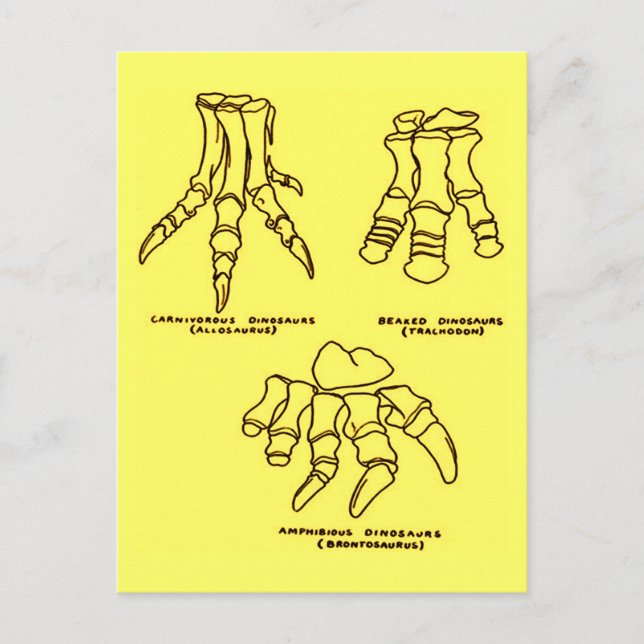 Postal Huesos de los pies de los dinosaurios (Anverso)