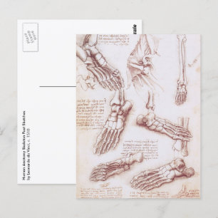 Postal Huesos de pie de anatomía humana de Leonardo da Vi