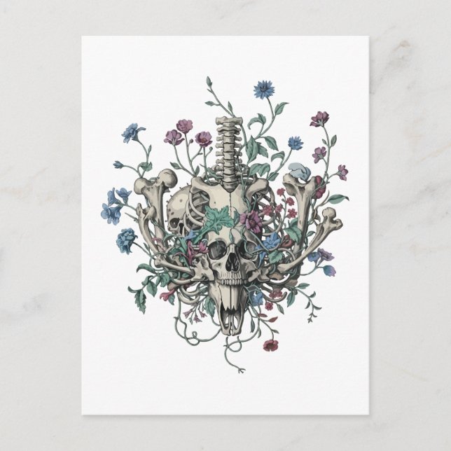 Postal Huesos y botánica (Anverso)