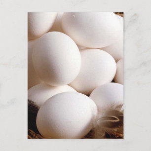 Postal Huevos