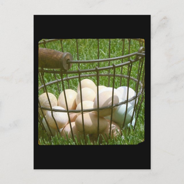 Postal Huevos (Anverso)