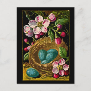 Postal Huevos azules vintage en nido con ramas de flores