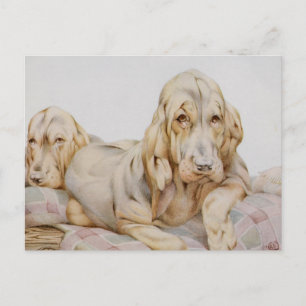 Postal Huevos blancos, perros cachorros de EJ Detmold