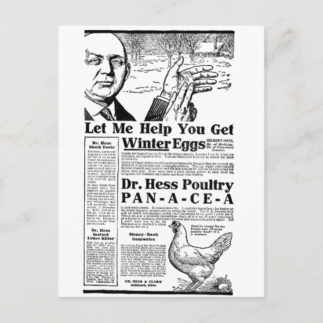 Postal Huevos de invierno (Anverso)