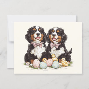 Postal Huevos de Pascua de Montaña de Bernese