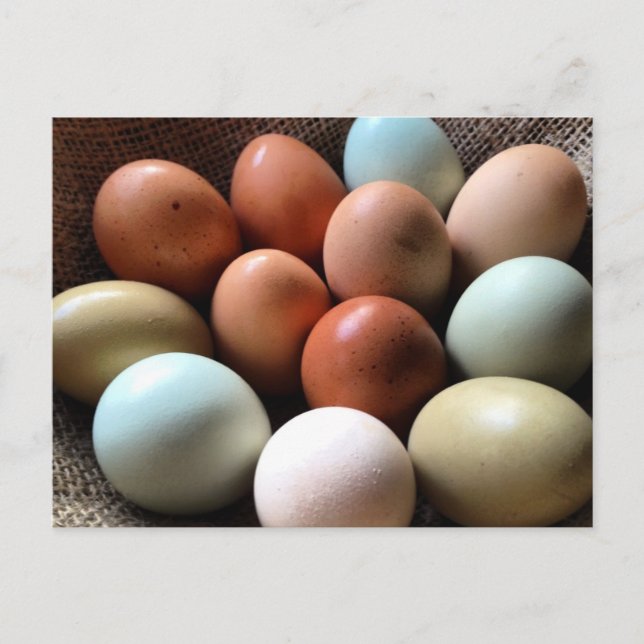Postal Huevos de todas las sombras (Anverso)
